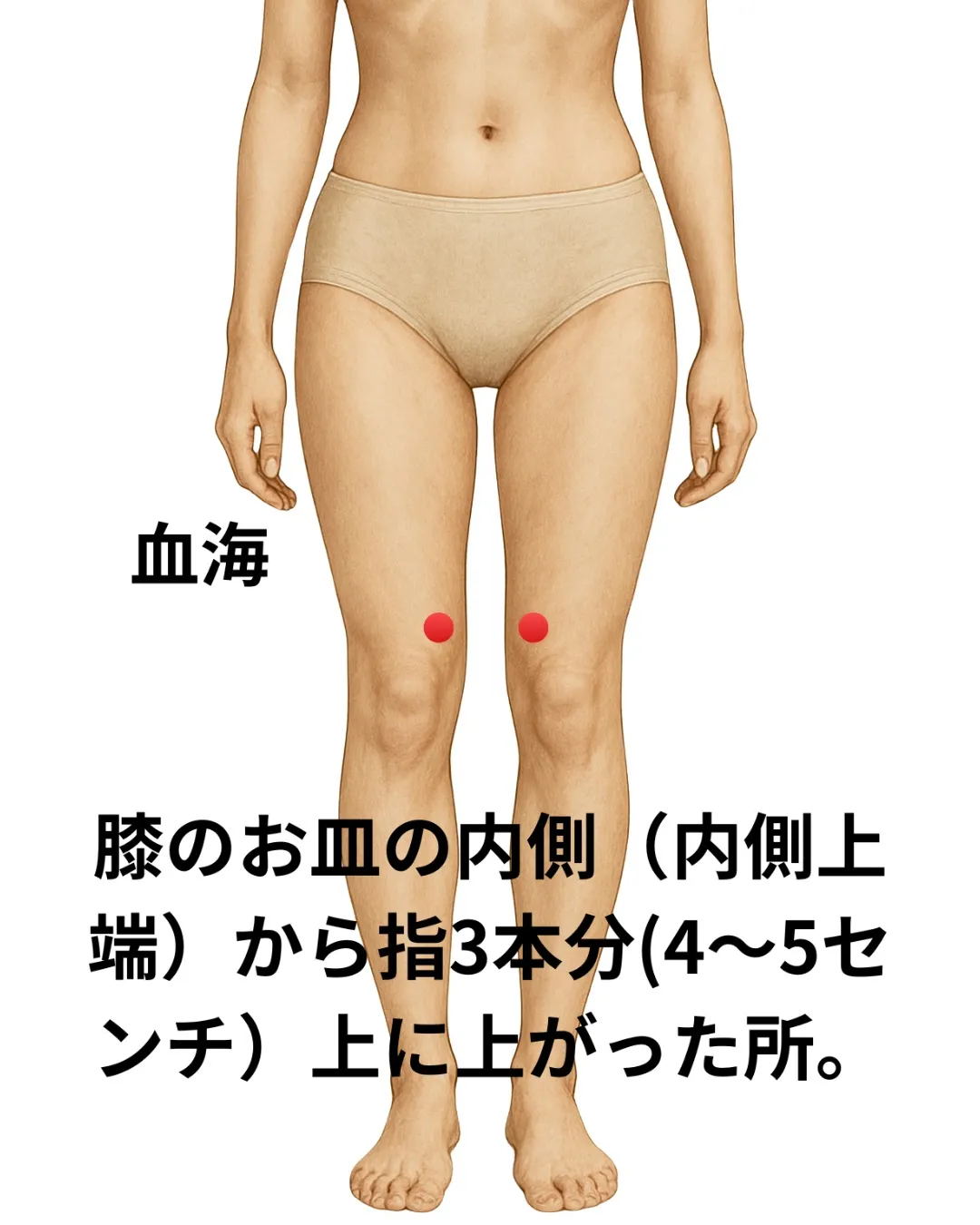 🍂 秋の抜け毛、夏のダメージが原因かも?